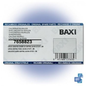 CABLES CUADRO CONTROL GAVINA GT/GTF BAXI